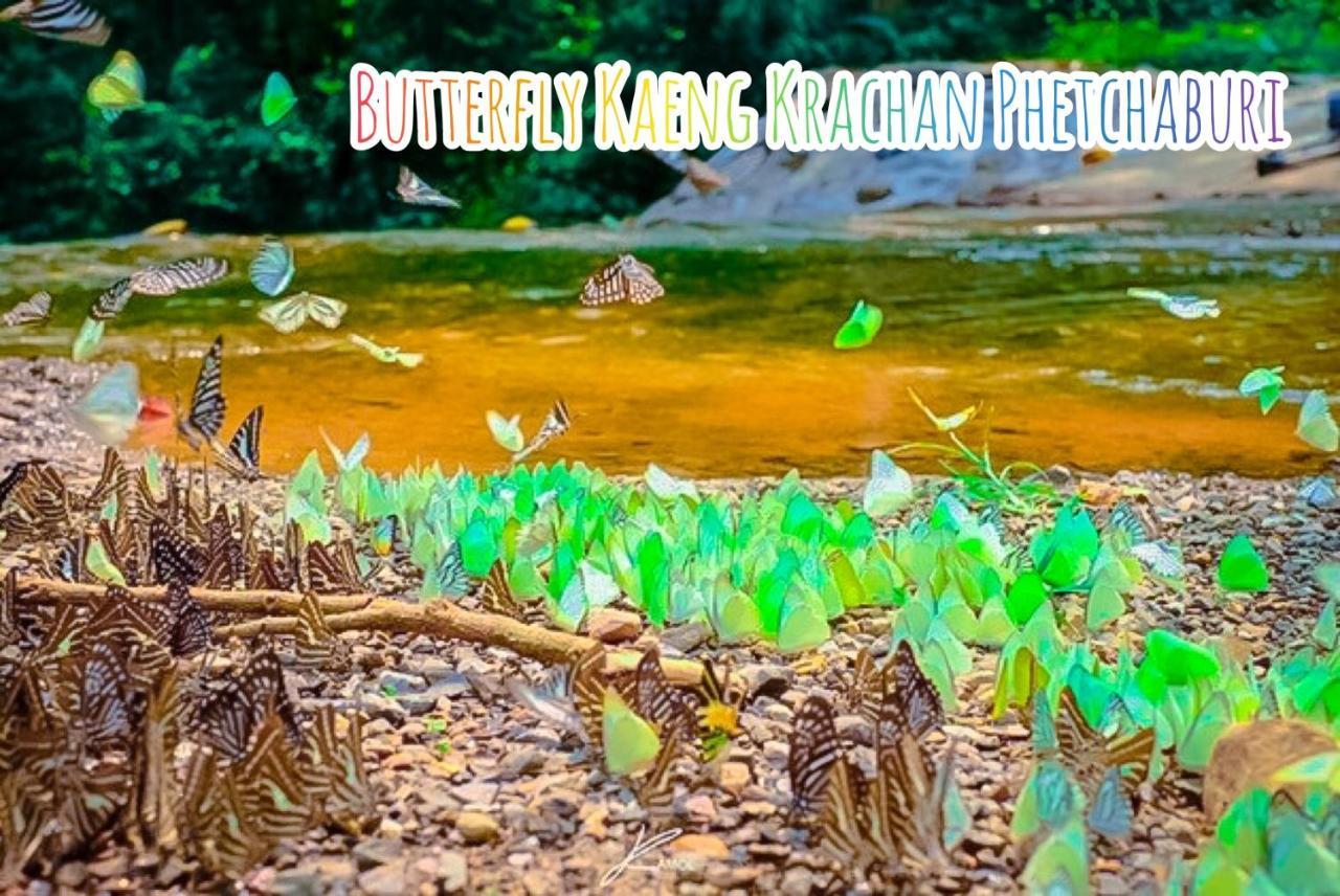 Baan Rai Pray Rung Kaeng Krachan Ban Tha Ling Lom エクステリア 写真