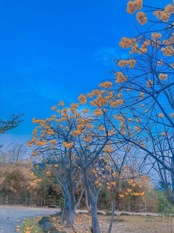 Baan Rai Pray Rung Kaeng Krachan Ban Tha Ling Lom エクステリア 写真